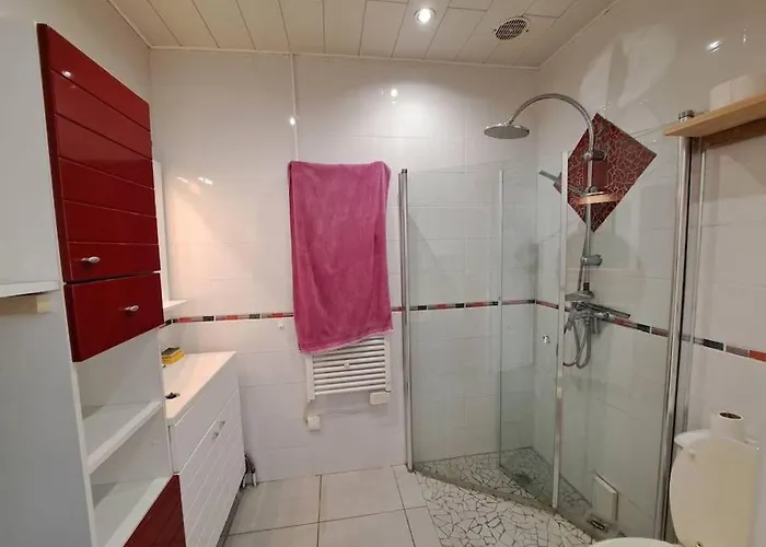 Appartement Nid Douillet *